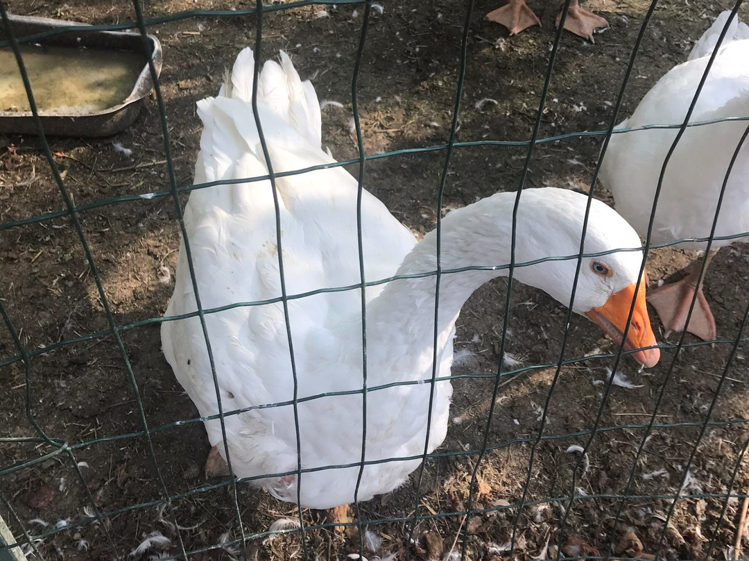 Tenuta Antico Monastero主图