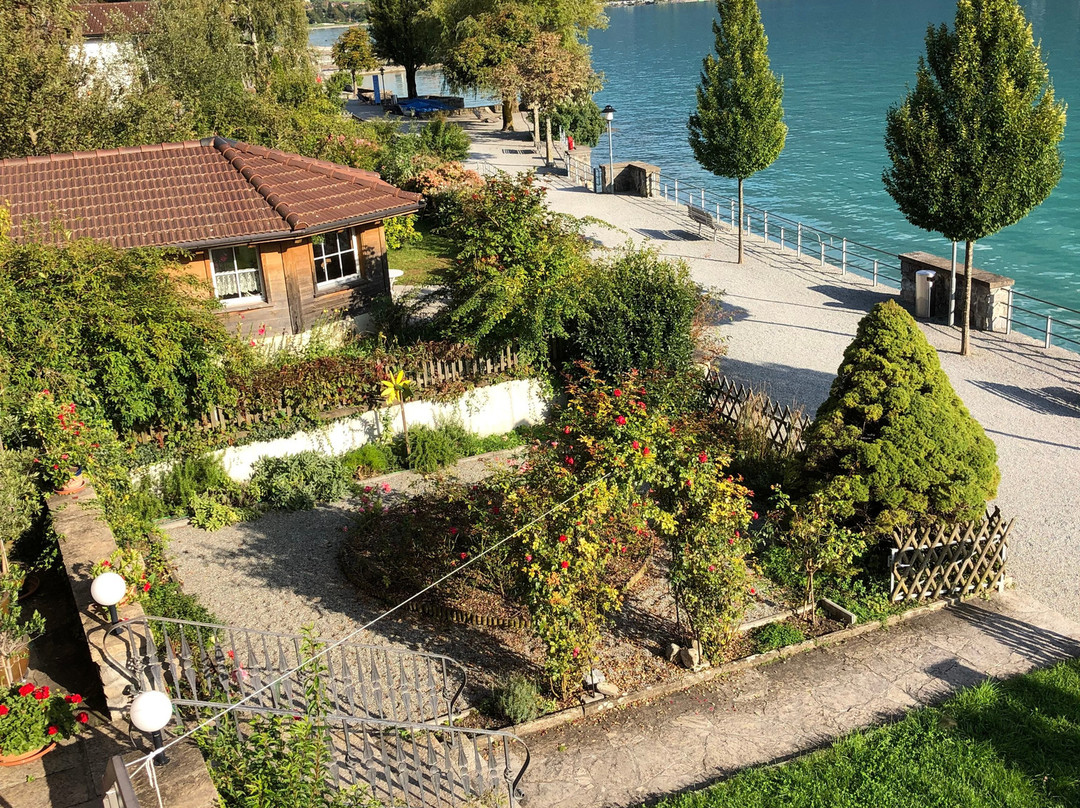 Tea Room Restaurant Hotel Walz主图