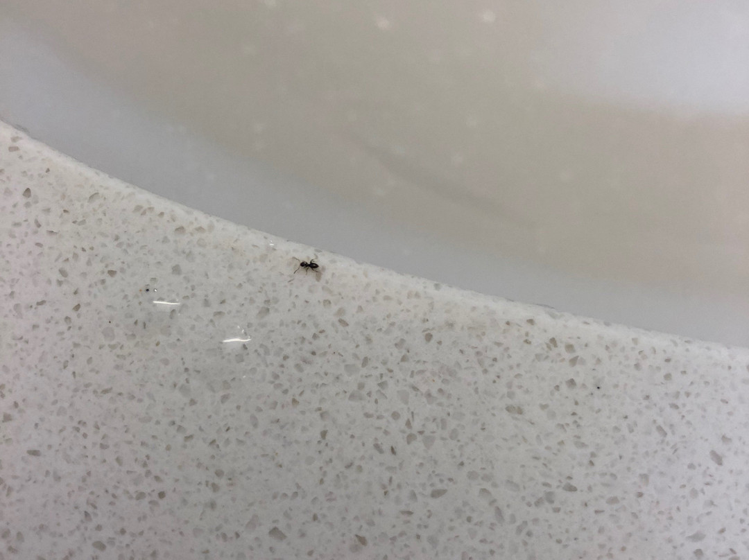 Hampton Inn & Suites Dallas/Richardson主图