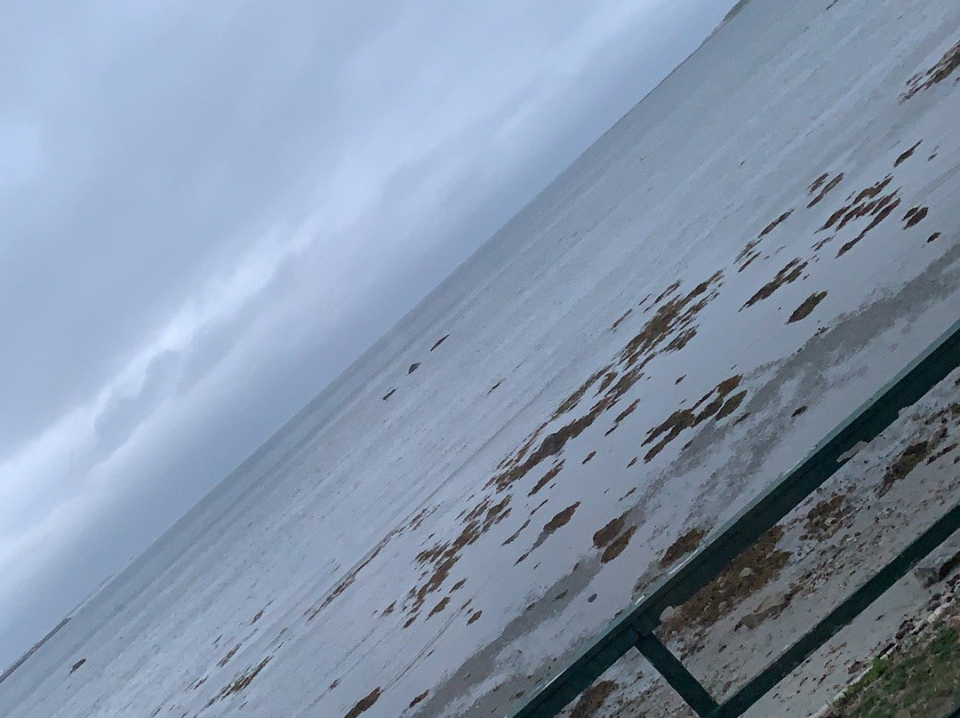 Shallow Bay Motel & Cabins主图