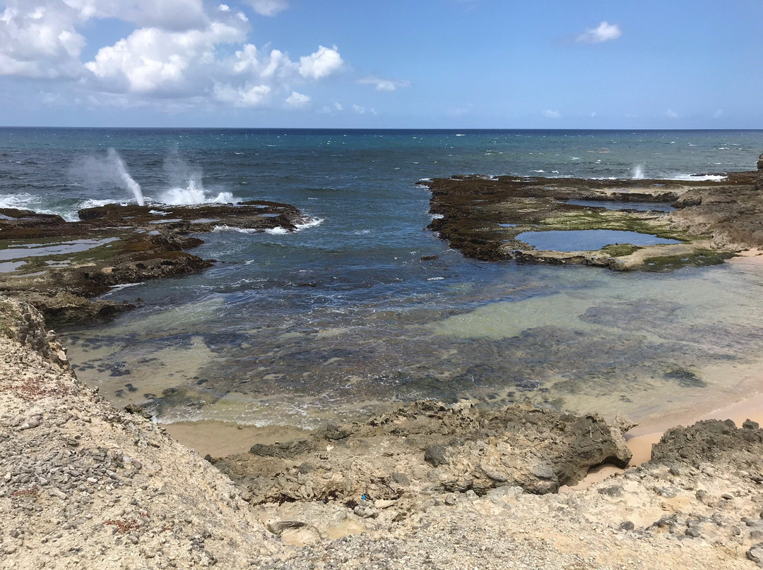 Little Bay-Saint Lucy Parish必去景点
