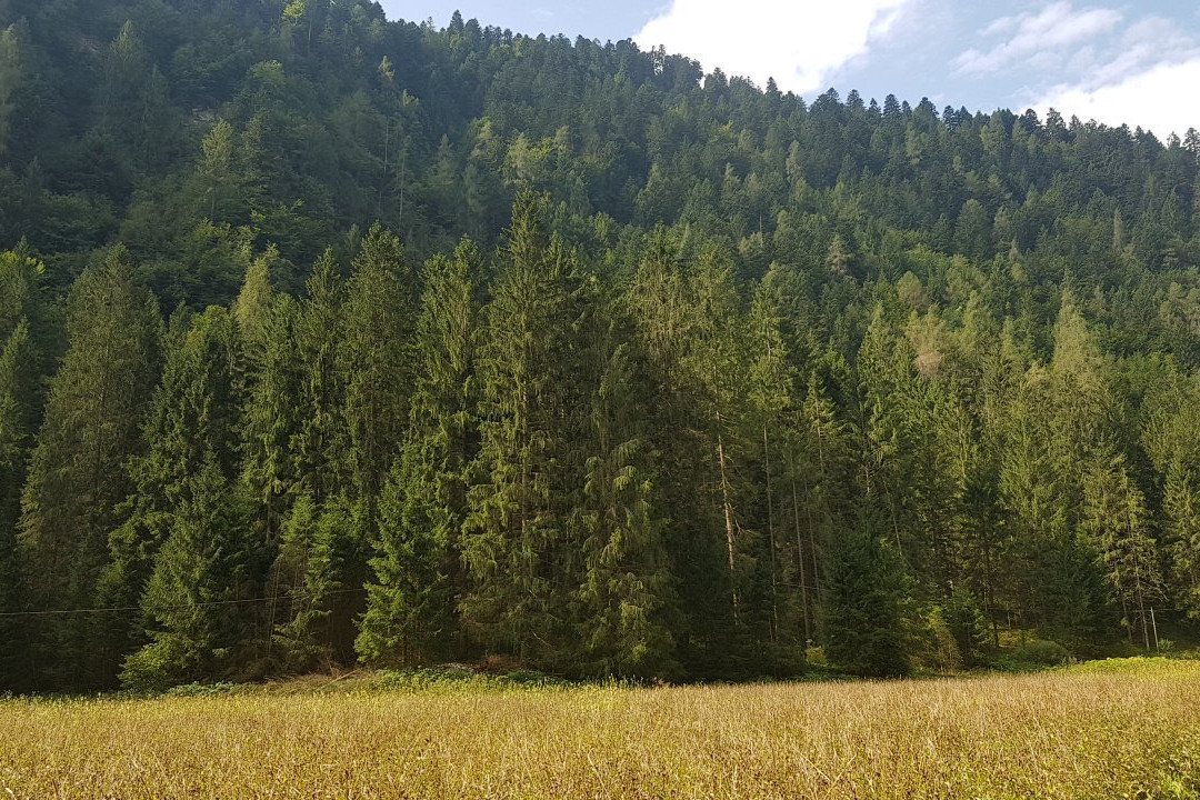 Parco La Cascatella-Castello Tesino必去景点