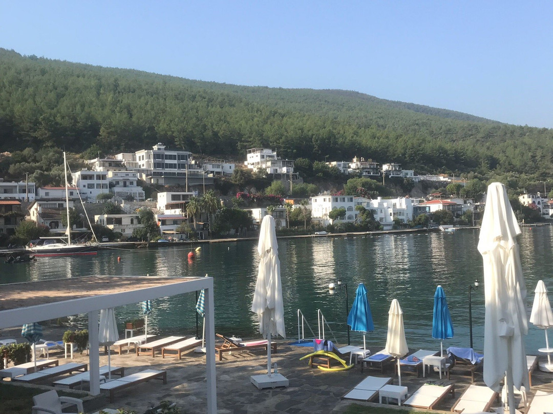 Zena Hotel Bodrum主图