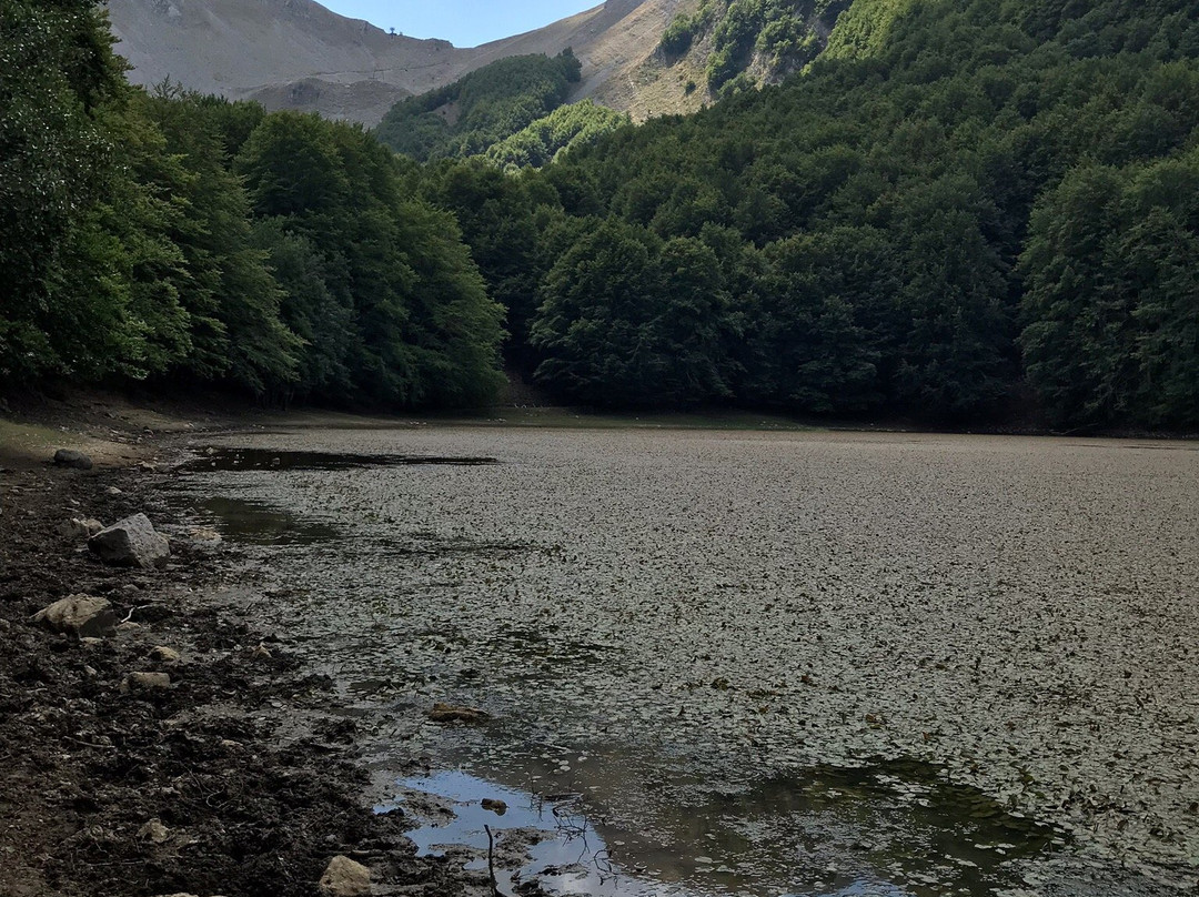 Lago Laudemio景点图片