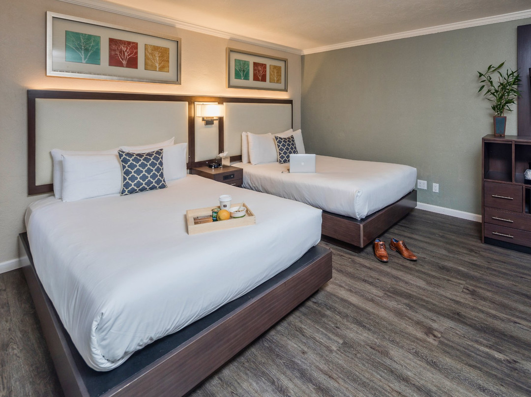 The Palo Alto Inn主图