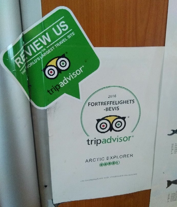 Arctic Explore-朗伊尔城必去景点