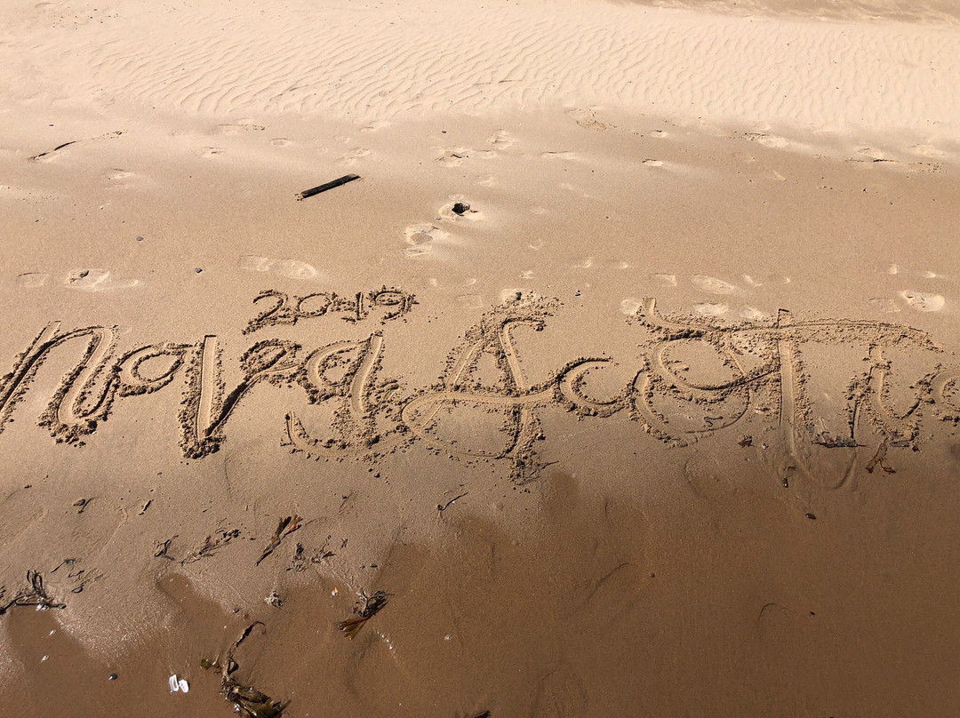 Melmerby Beach Provincial Park-Little Harbour必去景点