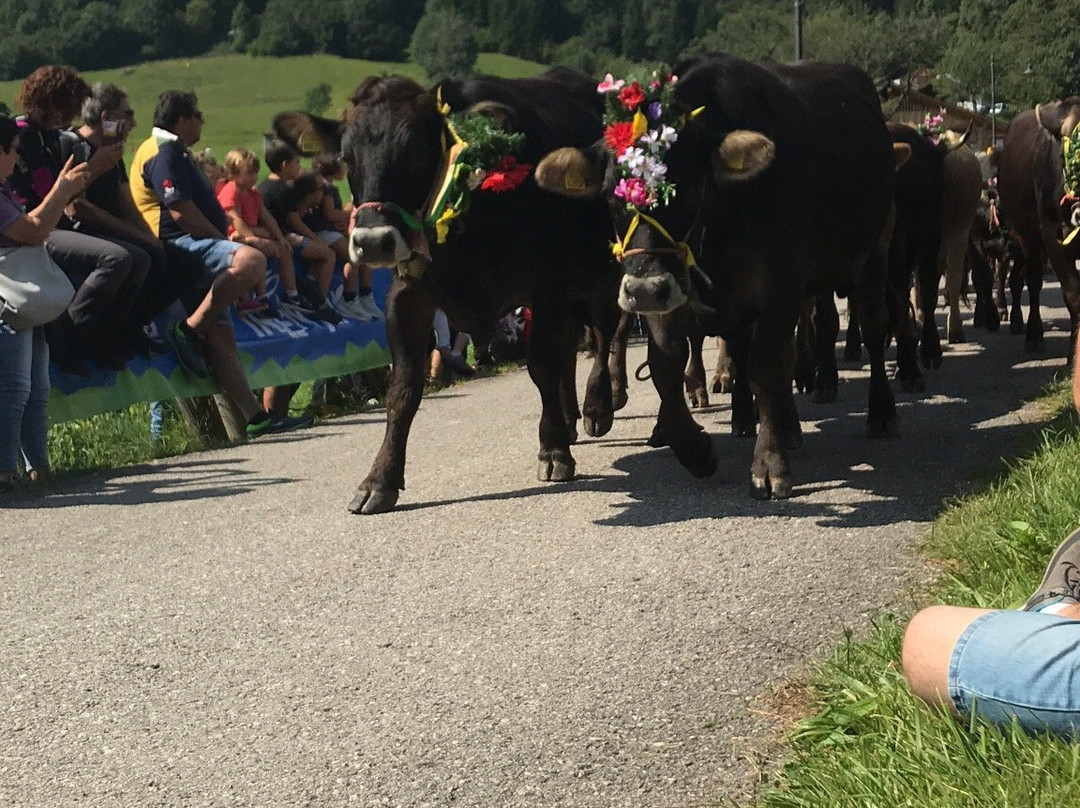 Altopiano di Boniprati-Prezzo必去景点