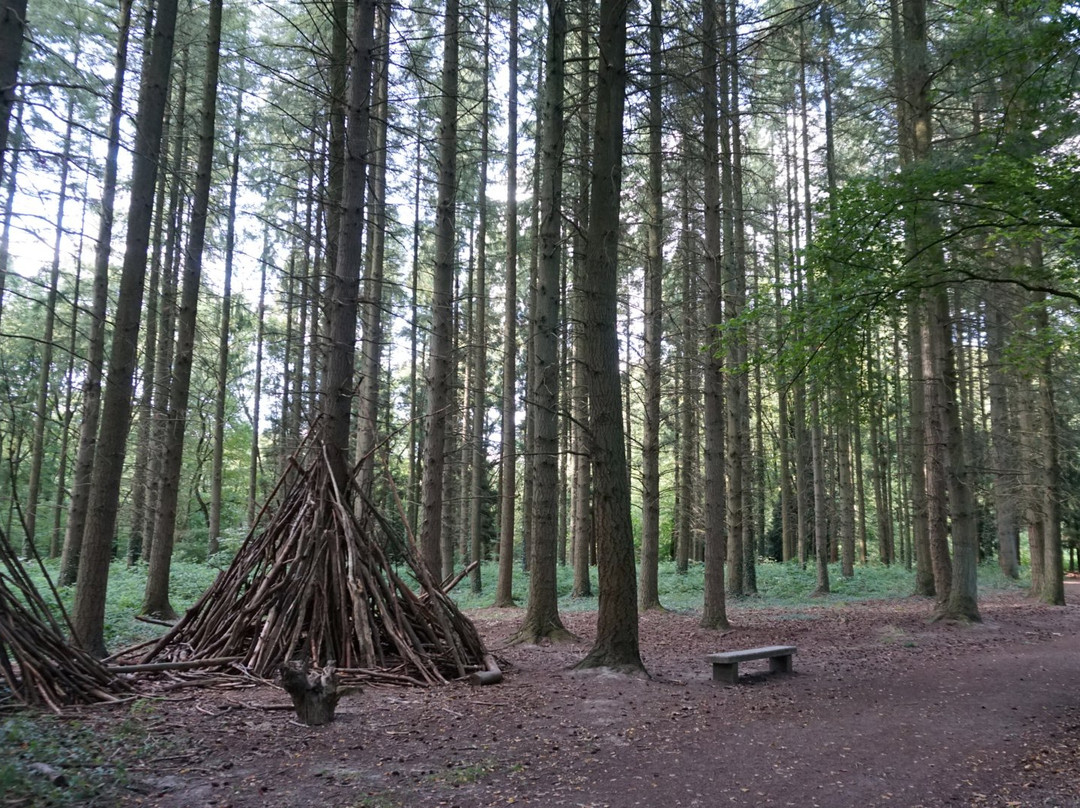 Bois de la Vequée景点图片