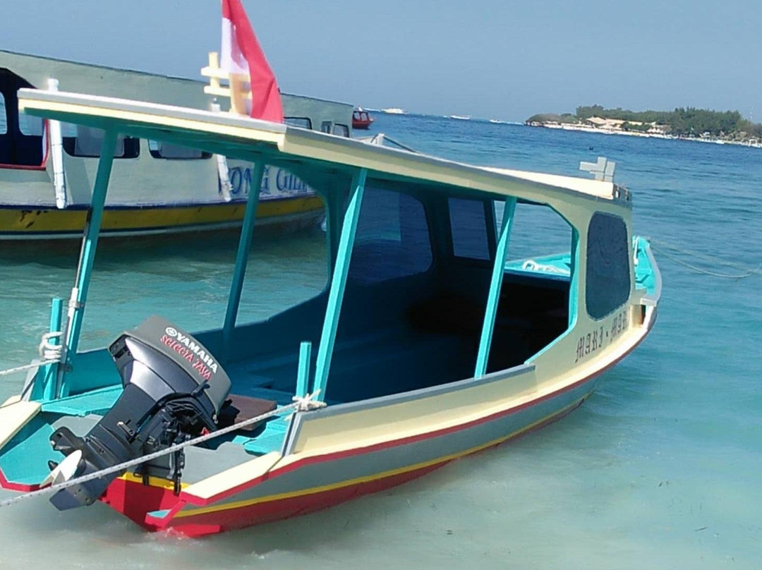 Gili Island Snorkel景点图片