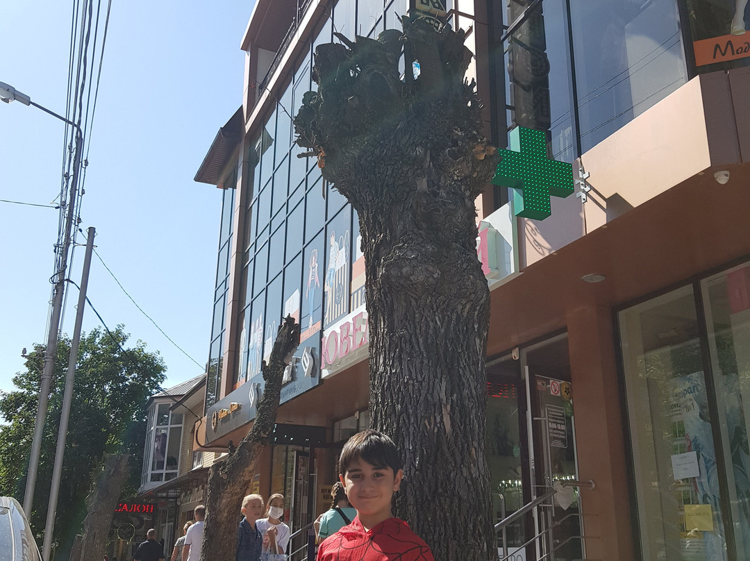 Yessentuki旅游攻略图片