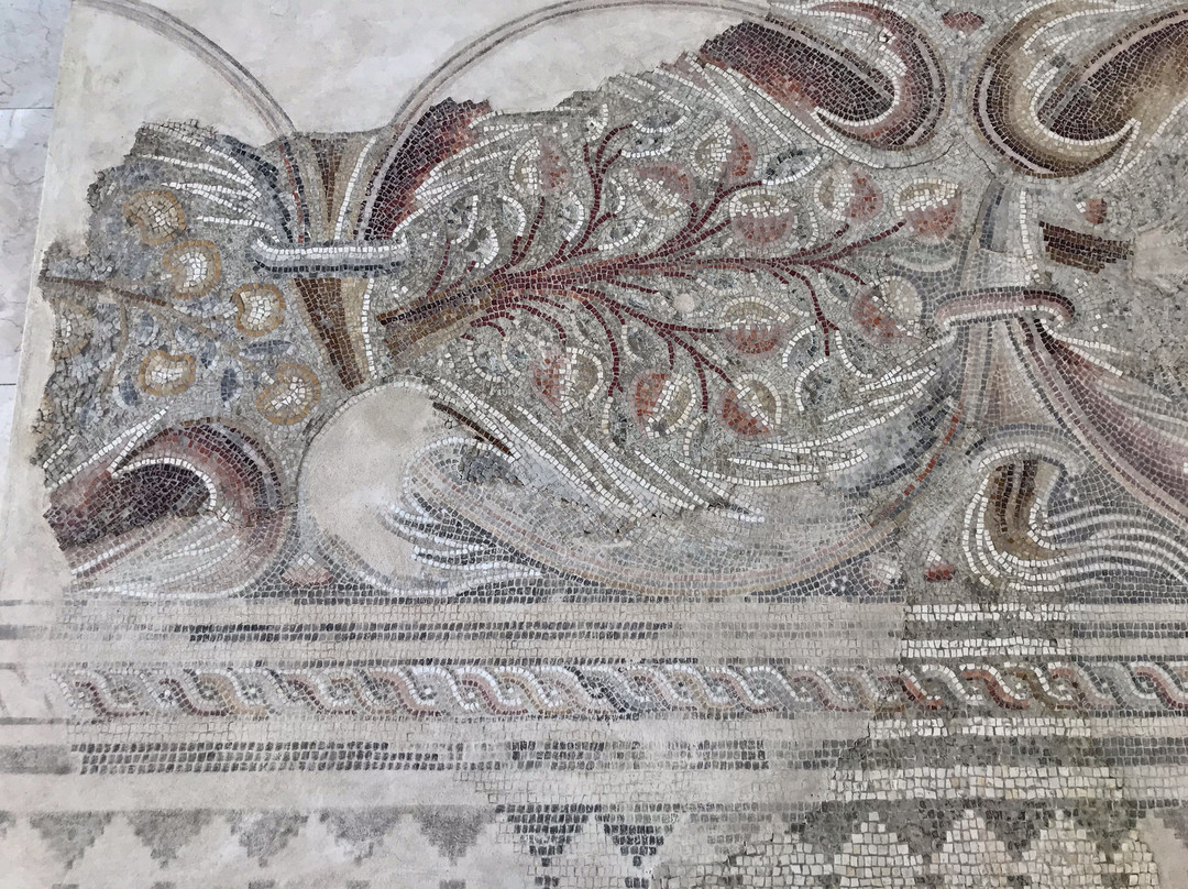 The Good Samaritan Museum-Jericho必去景点