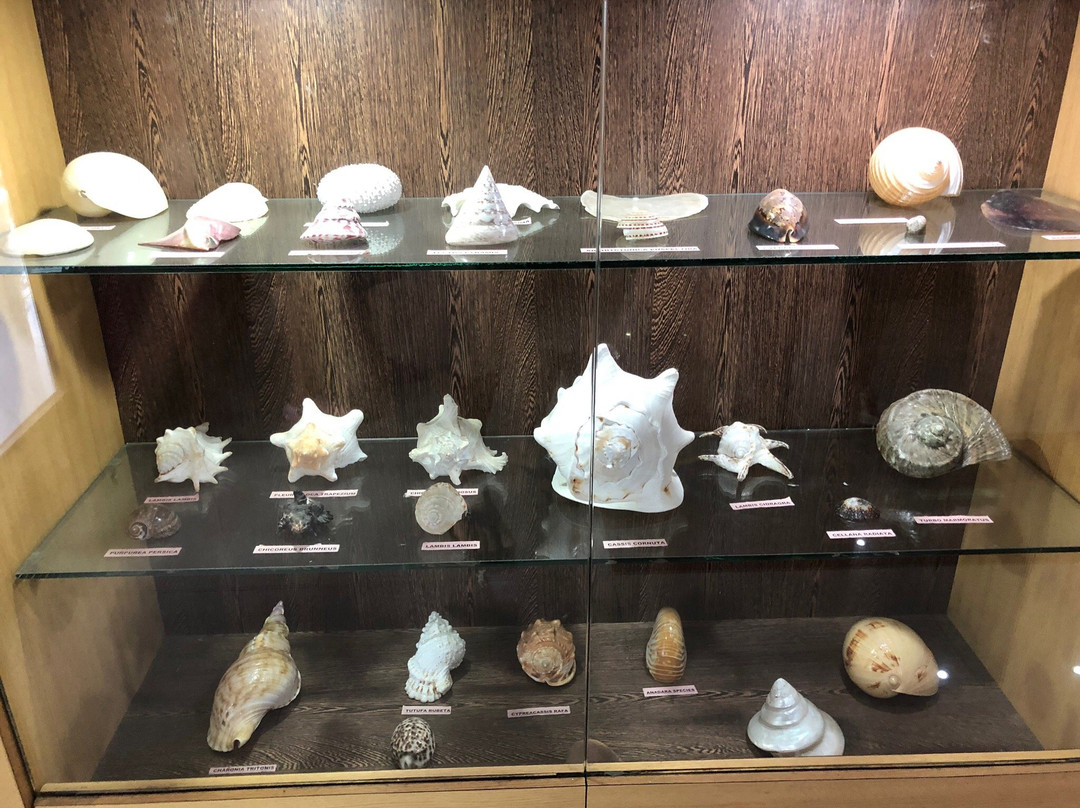 Marina Park and Aquarium-布莱尔港必去景点