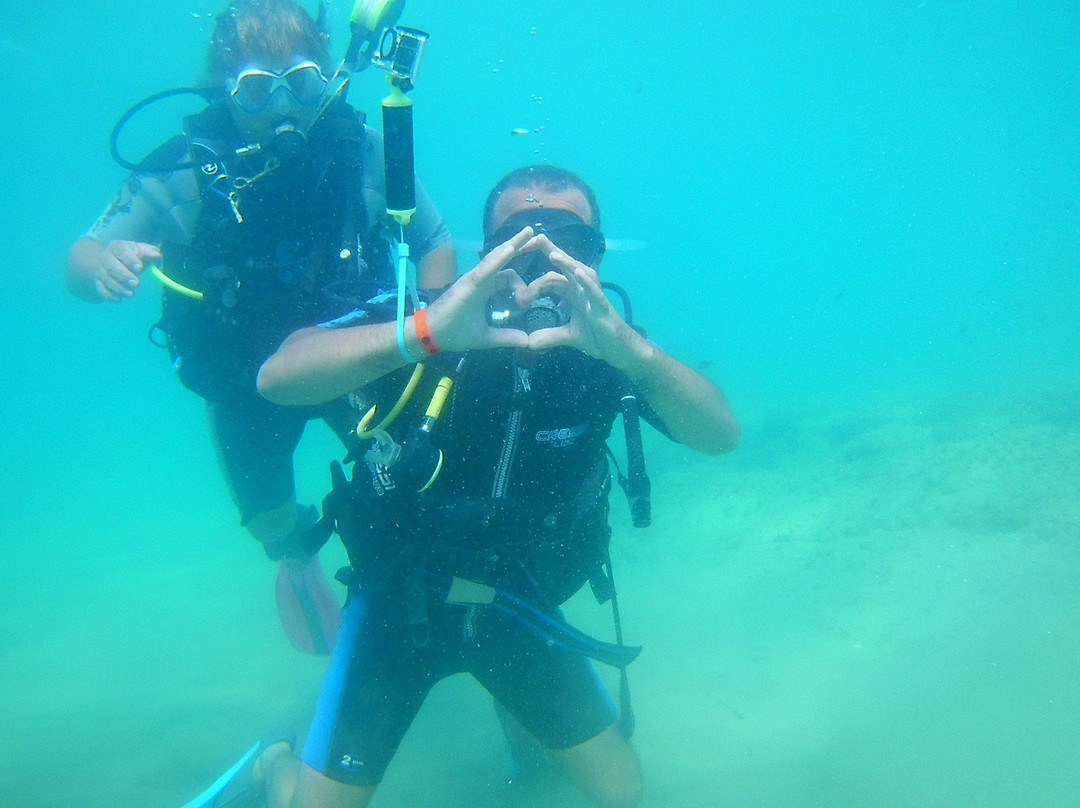 Divepoint景点图片