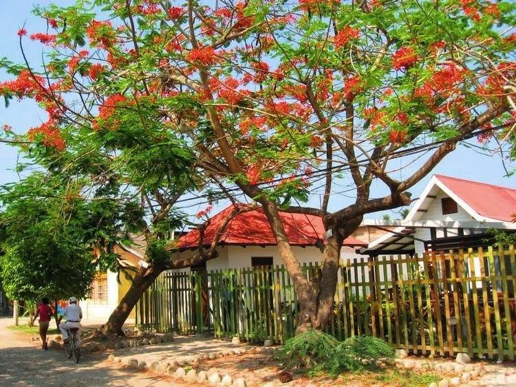 Casa Museo Gabriel Garcia Marquez-Aracataca必去景点