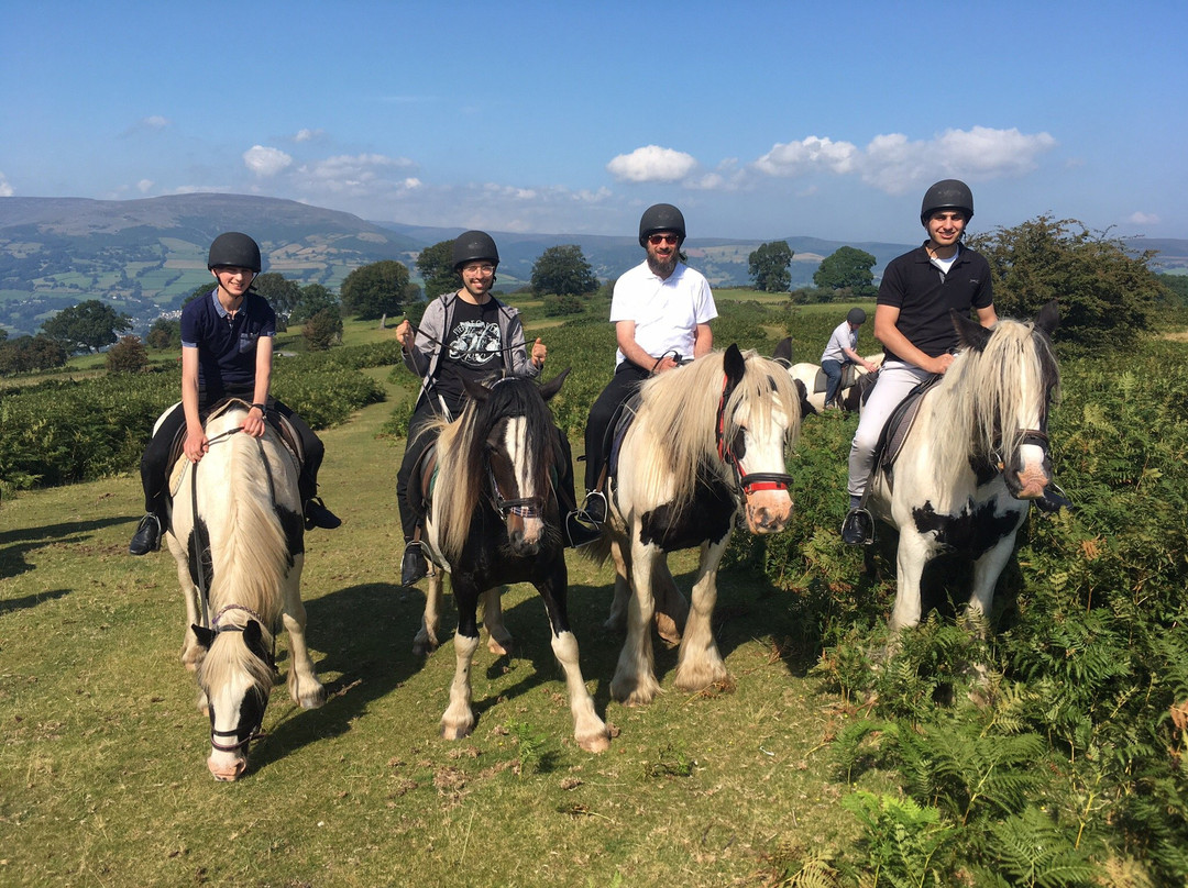 Wern Trekking and Riding Centre-Crickhowell必去景点