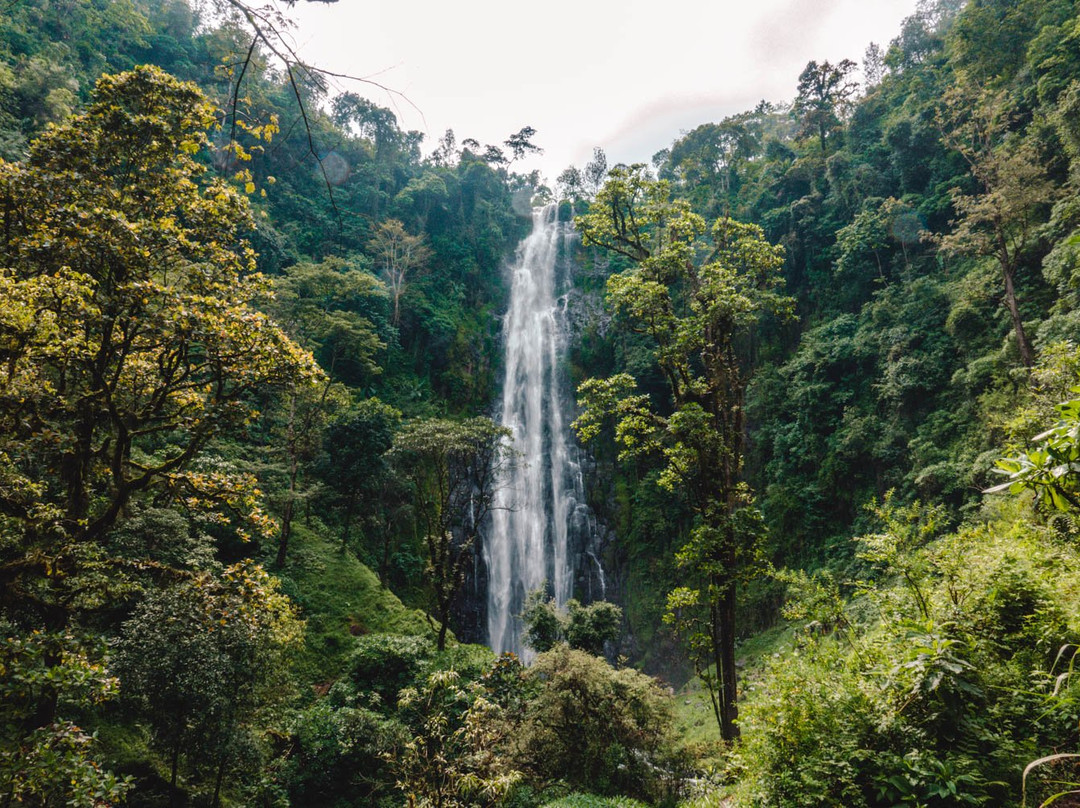 Tunajali Tanzania-莫西必去景点