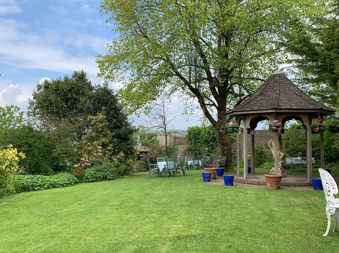 Hillcrest, Cefn Fforest - NGS Open Garden景点图片