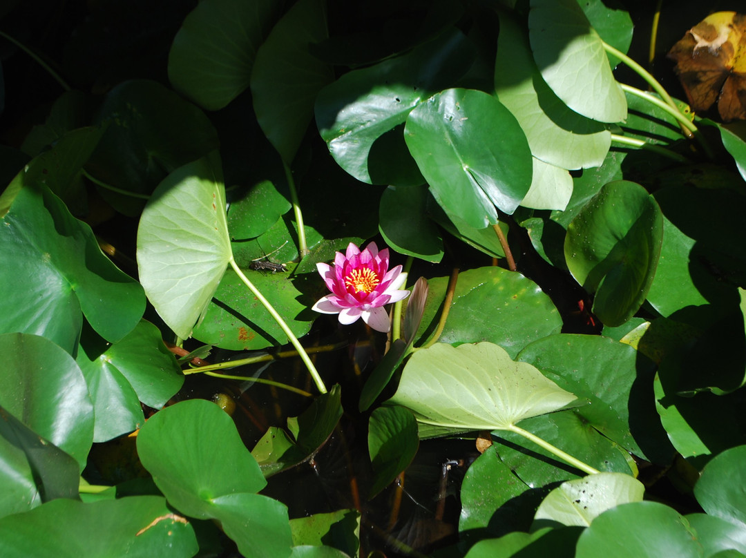 Hotel Navas Les Hauts de Moureze主图