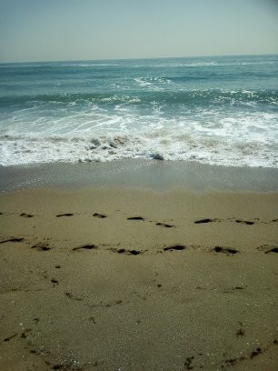 Sentido Marea Hotel主图