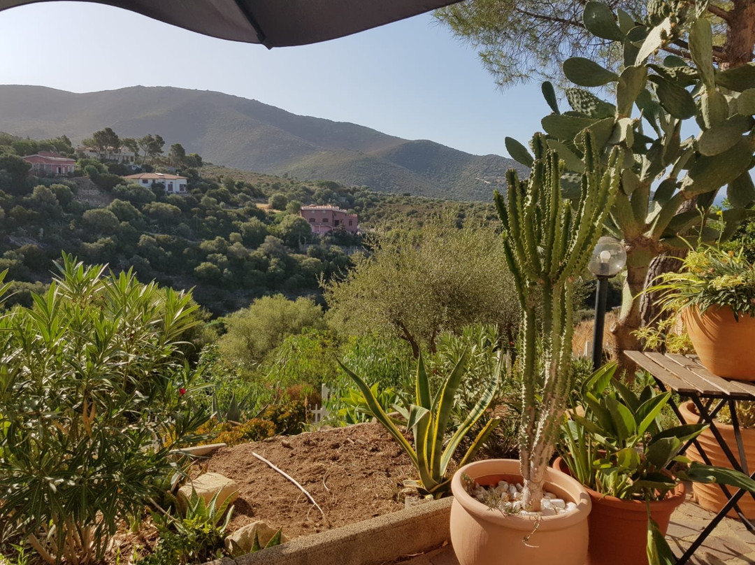 Villa Bella Salmagi - Surya Sardinia主图