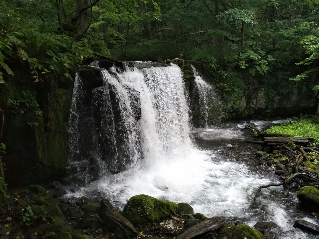 Choshi Otaki Waterfall景点图片