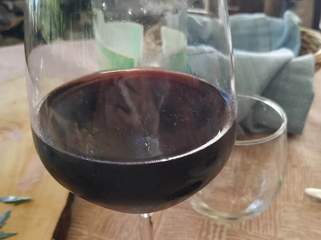 Agriturismo Casa Scola主图