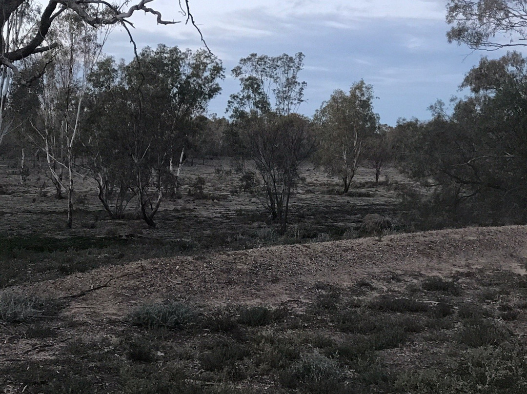 The Barwon Inn主图