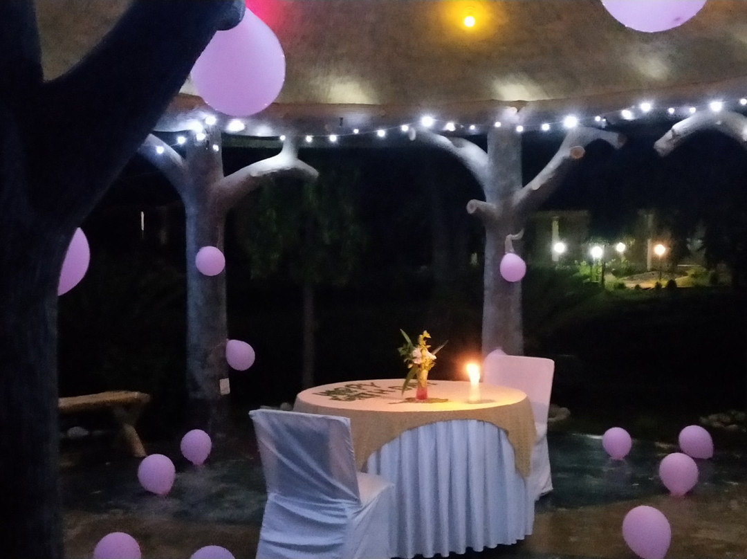 Treehouse Raj Mahal主图