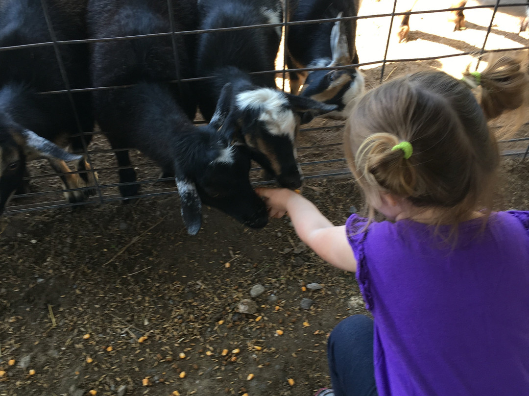 Freeland旅游攻略图片