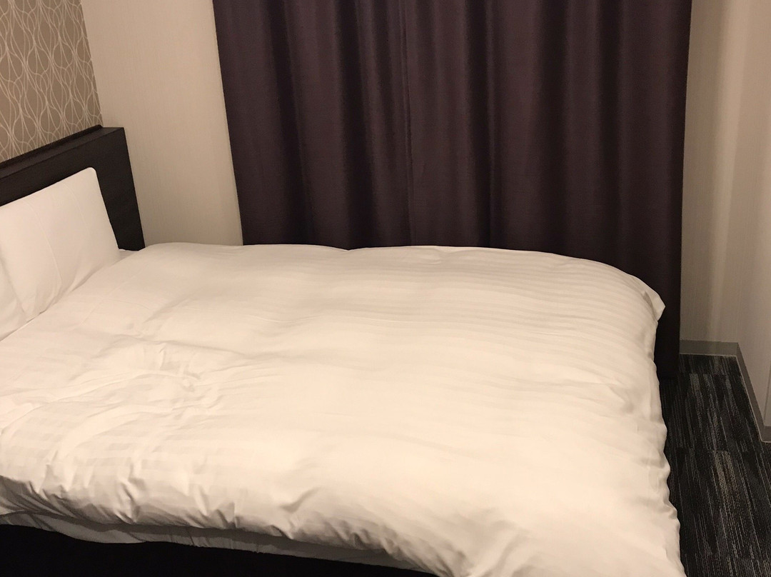 Dormy Inn Kofu Marunouchi主图