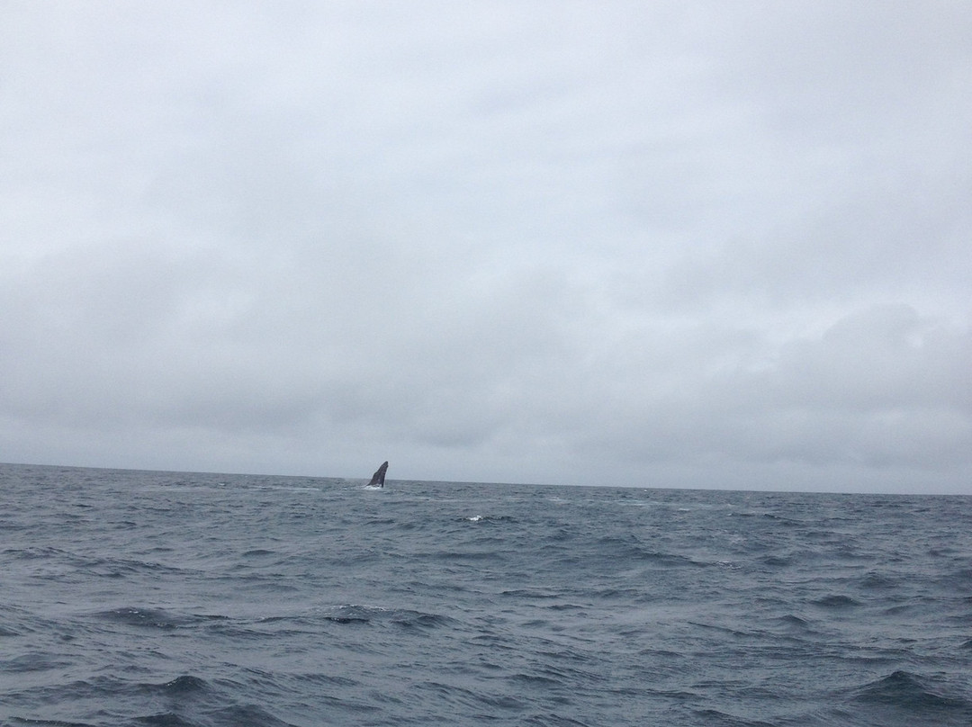 Villa de Los Suenos主图