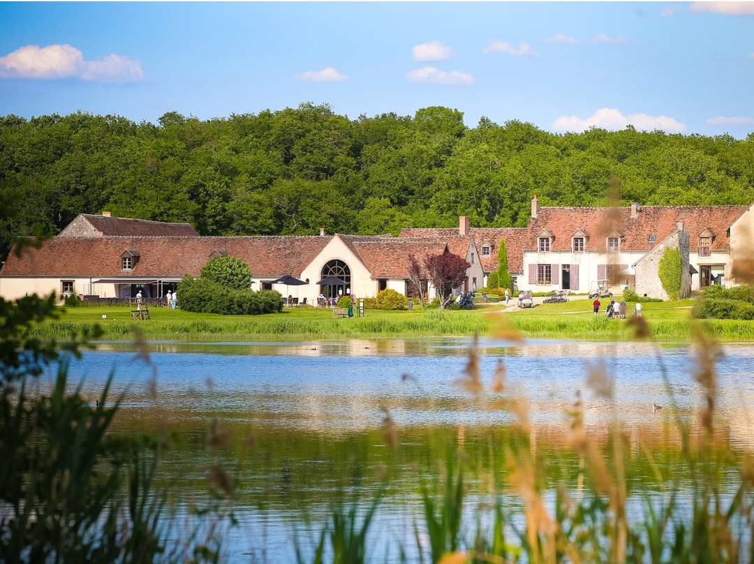 Golf du Chateau de Cheverny景点图片