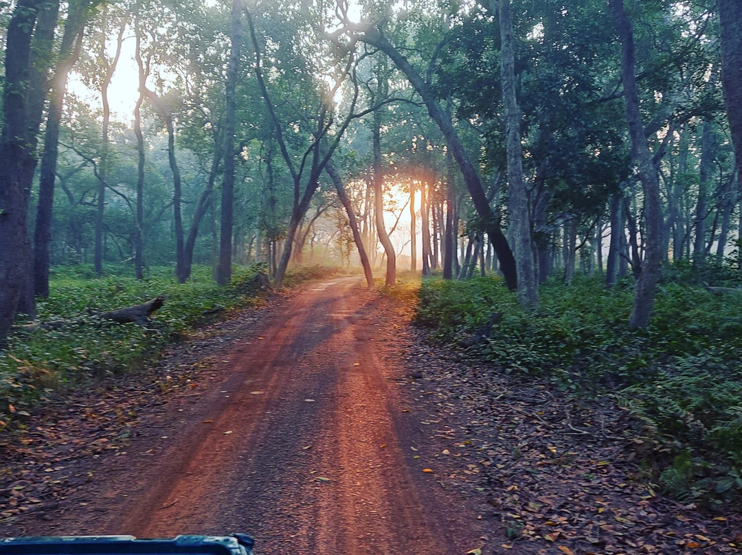 Dudhwa National Park景点图片