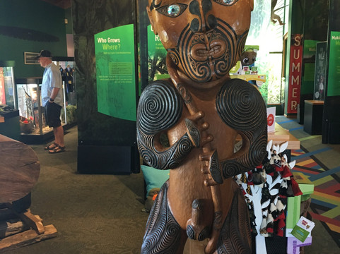 Tui Tours-奥克兰中心地区必去景点