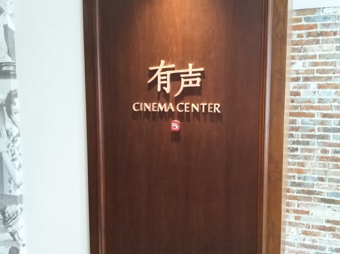 南京夜泊秦淮君亭酒店大戏院店主图