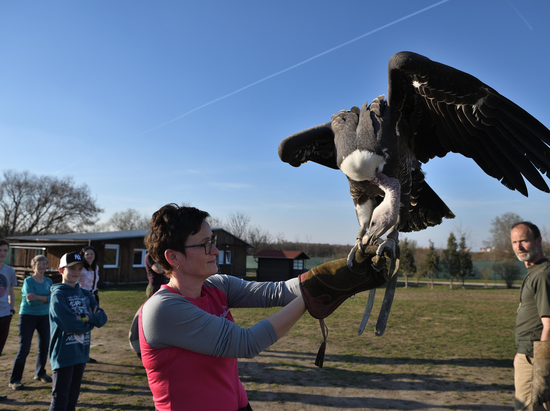 Penthea.org-布拉格必去景点