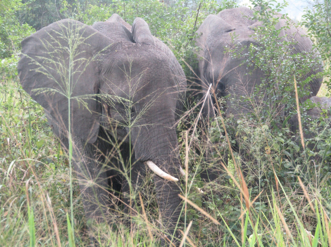 Experience Kigezi-Kisoro必去景点
