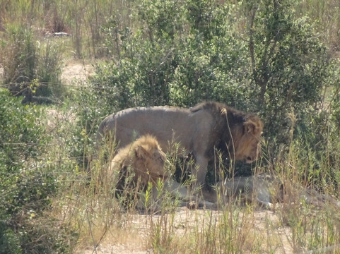 Discover Tours-白河必去景点