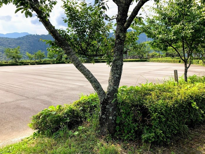 Sameura Dam-土佐町必去景点