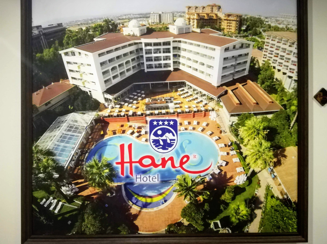 Hane Hotel主图