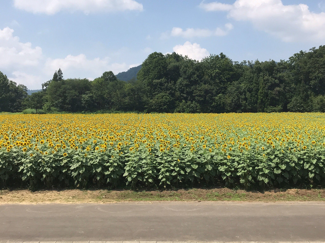 Tsunan Agriculture and Jomon Era Experience Training Hall Najomon-津南町必去景点