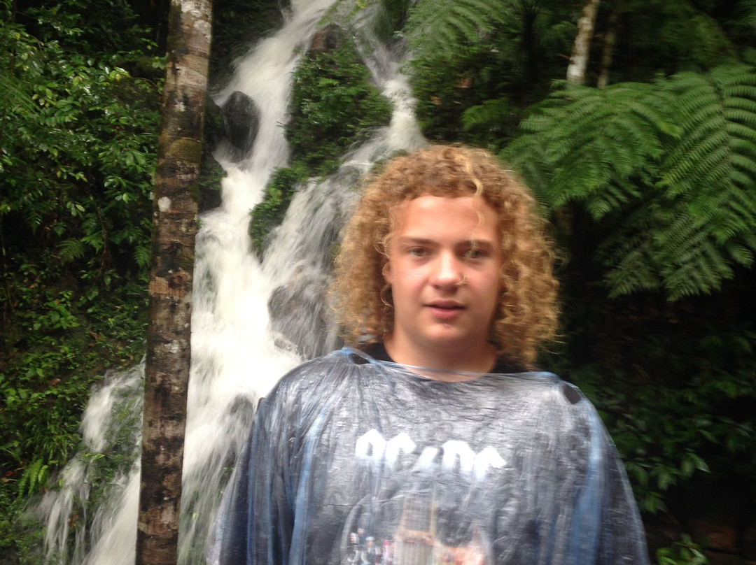 Sinharaja Rain Forest Tours-Deniyaya必去景点