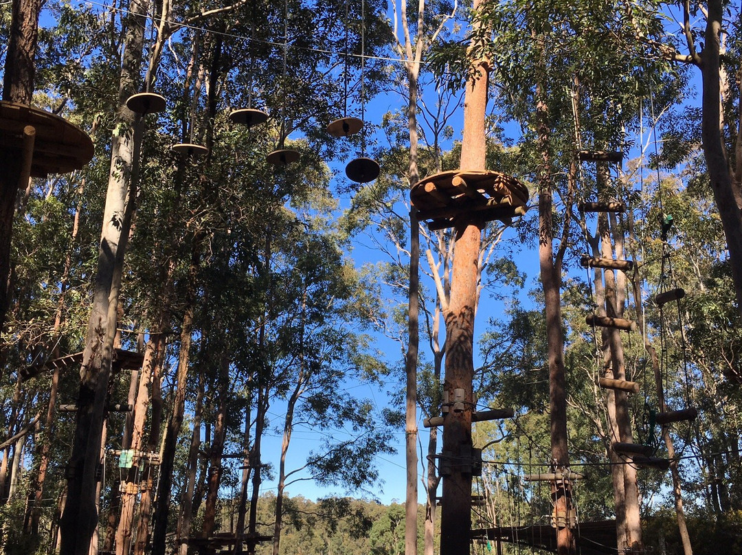 TreeTops Newcastle景点图片