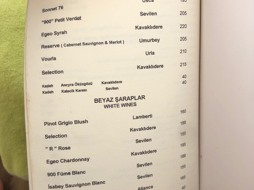 Paparazzi Beach Club-切什梅必去景点