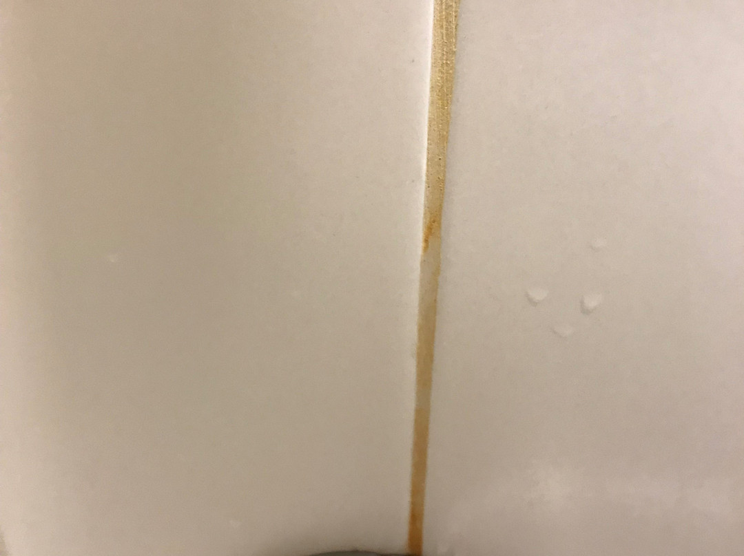 Hilton Garden Inn Buffalo Downtown主图