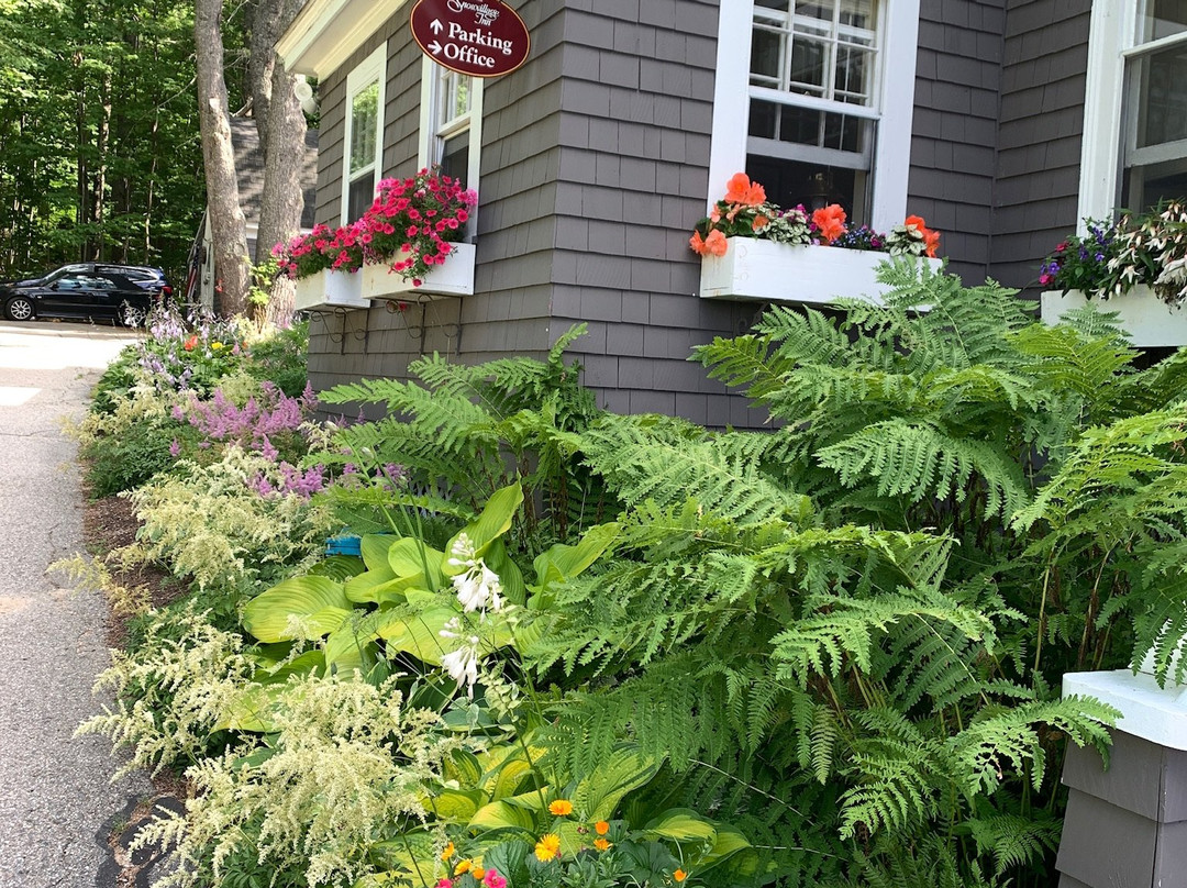 Snowvillage Inn主图