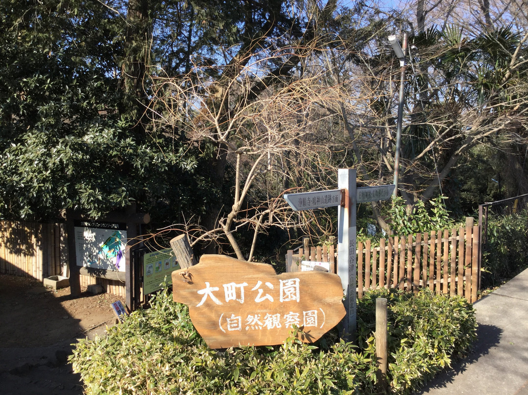 Omachi Park-市川市必去景点