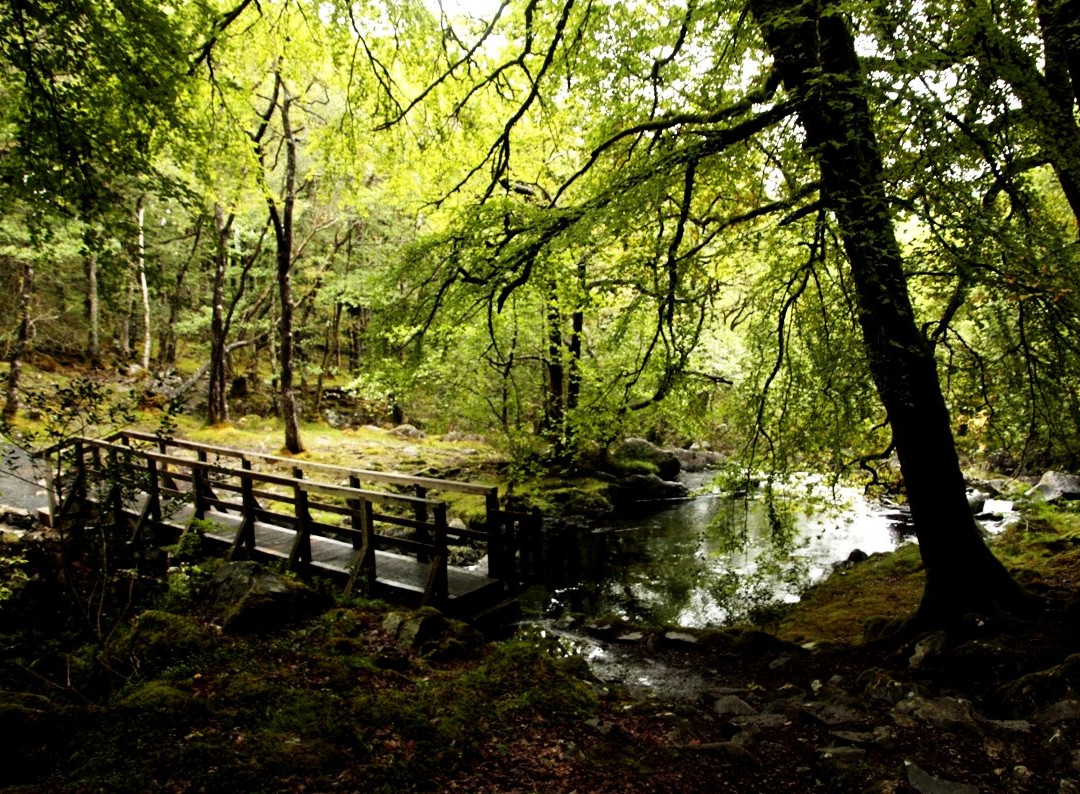 Rhaeadr Ddu Waterfalls景点图片