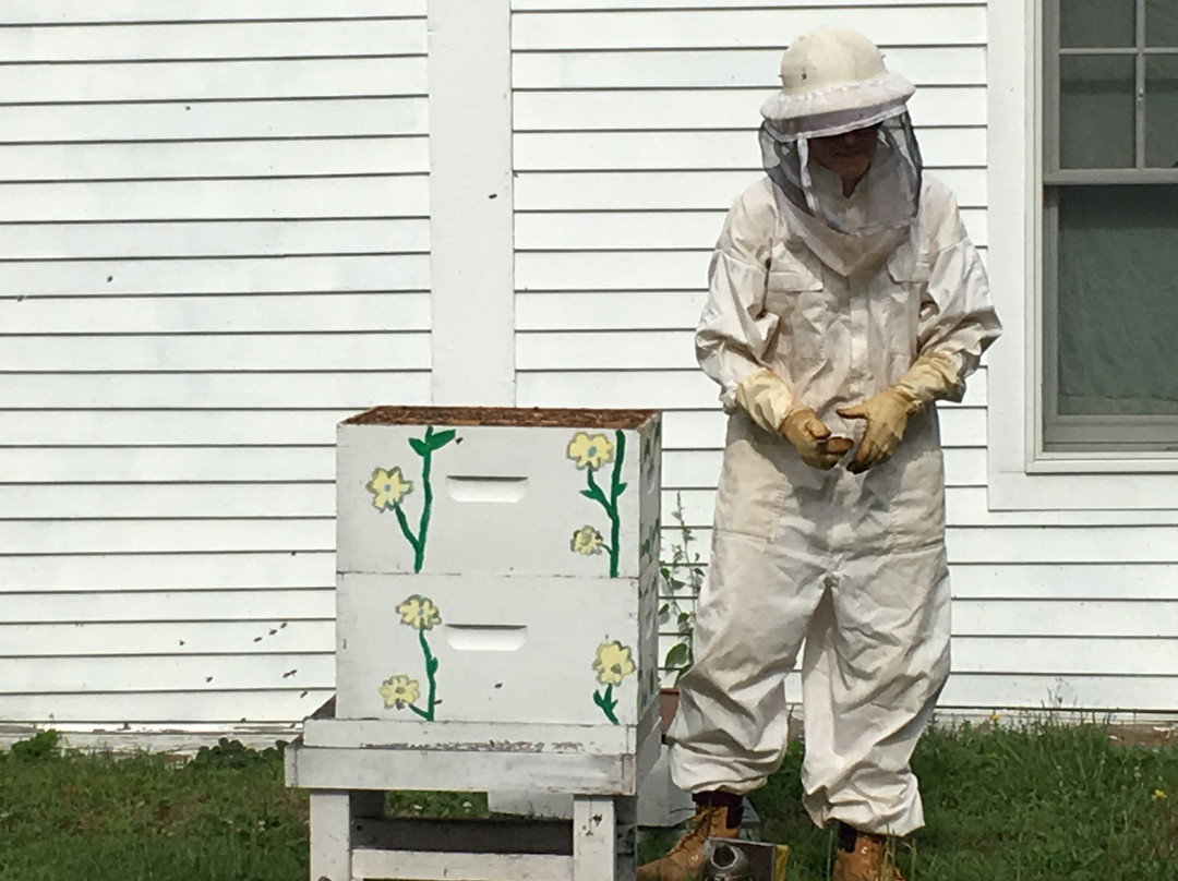 Golden Stage Inn主图